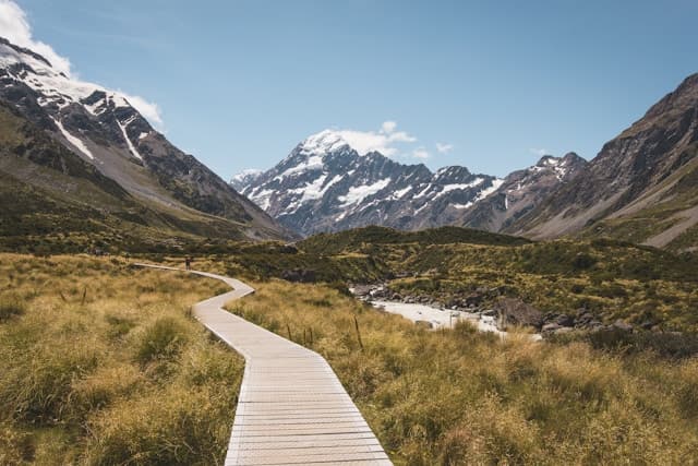Boardwalk path through tussock grassland leading to Mount Cook, representing the investment journey