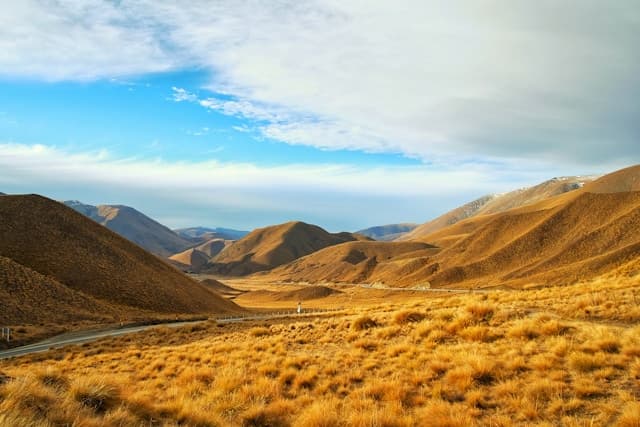 Stunning New Zealand landscape with golden tussock grassland and rolling hills